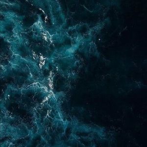 Meet your Posher, George